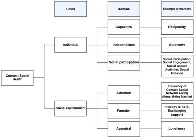 Social health markers in the context of cognitive decline and dementia: an international qualitative study